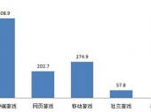 2015-2020年中国网络游戏市场竞争力分析及投资前景研究报告