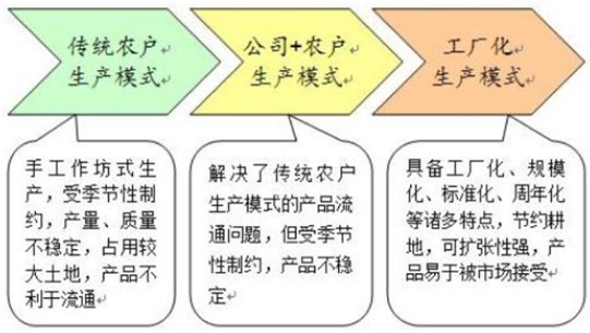 食用菌市场模式分析