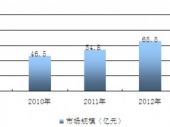 2015-2020年中国康复辅助器具市场分析与投资前景研究报告